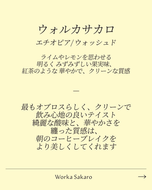 ウォルカ・サカロ/ Worka Sakaro Ethiopia Washed