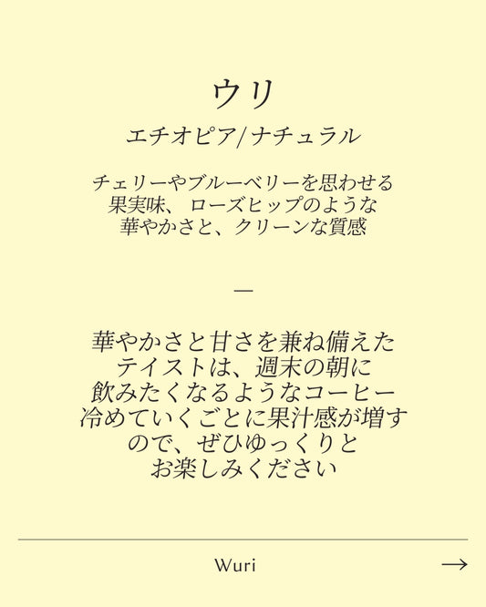 Yidid Tulse / Ethiopia / Freewashed